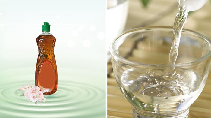 Sử dụng giấm và nước rửa chén để loại bỏ nấm trên đồ nhựa
