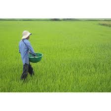 VAI TRÒ CỦA NHỰA TRONG NÔNG NGHIỆP 4.0 rải phân bón