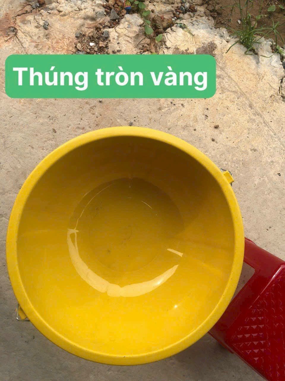 Thúng tròn vàng
