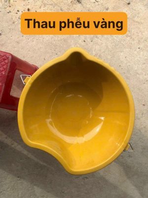Thau phểu vàng
